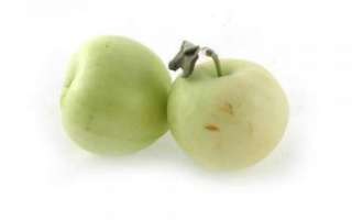 Описание яблок сорта белый налив и их полезных свойств, а также вреда с фото; отзывы о белом наливе