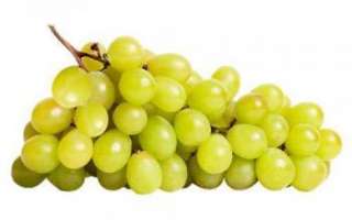 Виноград Мускат — описание сортов винограда с фото и видео; полезные свойства, вред, противопоказания; использование в кулинарии