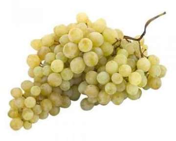Виноград кишмиш — лучшие сорта, полезные свойства и вред