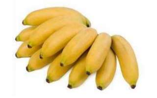Бананы мини — польза, вред и противопоказания; описание с фото разницы с обычными бананами; использование в кулинарии