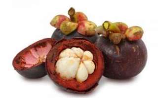 Мангостин — какими свойствами обладает этот фрукт?
