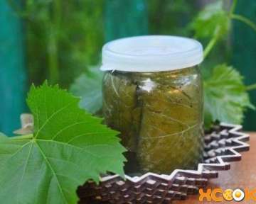 Маринованные виноградные листья для долмы – пошаговый рецепт с фото, как мариновать в домашних условиях