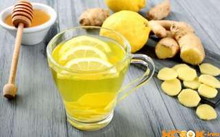 Рецепт смеси с имбирем, лимоном и медом для укрепления и повышения иммунитета — текстовая и видео инструкция