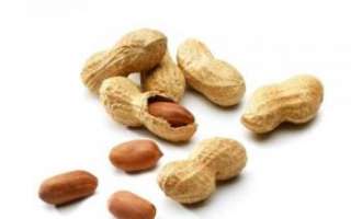 Арахис сушеный — описание пользы, пищевой ценности, вреда ореха; показатель калорийности; использование в кулинарии