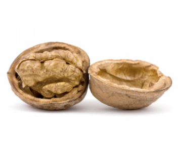 Польза грецких орехов для здоровья, их вред и противопоказания к употреблению