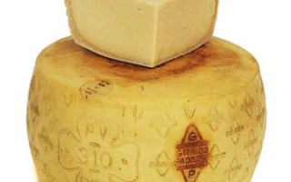 Состав сыра Грана Падано (Grana Padano), его виды с фото, калорийность этого продукта