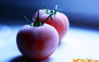 Как в домашних условиях правильно заморозить на зиму свежие помидоры?