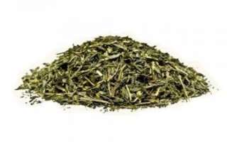 Зеленый чай — полезные свойства, вред и противопоказания