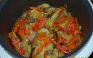 Диетические тушеные овощи в мультиварке — вкусный рецепт с фото, как приготовить