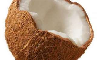 Кокосовый орех — калорийность, полезные свойства и вред