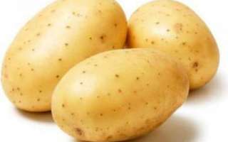 Картофель — калорийность, польза и вред