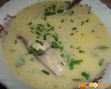 Суп Чихиртма грузинская с курицей — рецепт с фото приготовления блюда