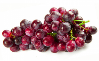 Красный виноград — описание полезных свойств и фото этого фрукта