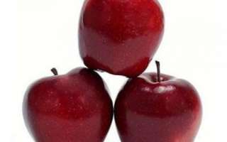 Яблоки Глостер — описание их полезных свойств, фото этих фруктов
