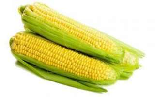 Кукуруза — калорийность, польза и вред