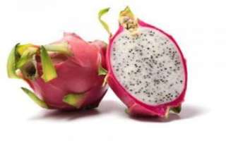Питахайя — какими свойствами обладает этот экзотический фрукт?