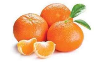 Клементин (фрукт) — полезные свойства этого сорта мандарин
