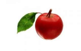 Яблоки ранетки — описание этого сорта с фото