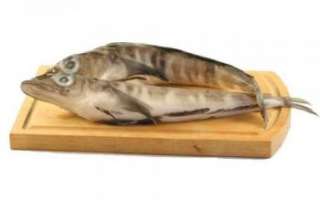 Особенности ледяной рыбы с фото, её польза и приготовление; рецепты блюд с этим видом рыбы