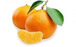 Мандарин — описание свойств плодов и кожуры этого фрукта