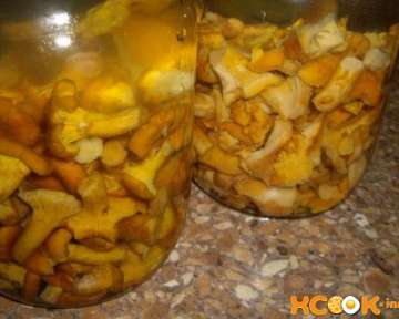 Вкусные маринованные лисички — рецепт приготовления с фото, описывающий, как правильно мариновать грибы на зиму