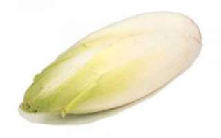 Эндвий (салатный цикорий) — его польза и вред, прочие свойства; выращивание растения и фото рецепты с его применением