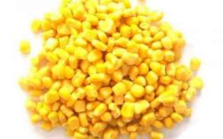 Каков состав консервированной кукурузы, а также чем она полезна и чем вредна?