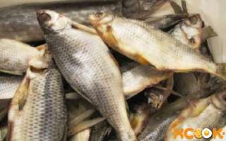 Как правильно солить и сушить рыбу в домашних условиях?