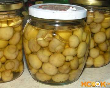Маринованные грибы шампиньоны на зиму – пошаговый рецепт с фото их приготовления в домашних условиях