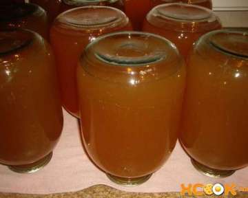 Рецепт заготовки на зиму вкусного и натурального яблочного сока с фото в домашних условиях
