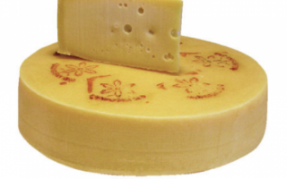 Характерные свойства украинского сыра, советы по его выбору и хранению