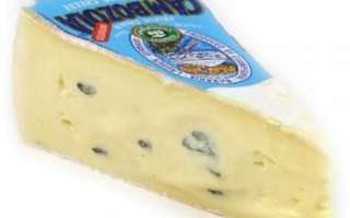 Сыр с голубой плесенью Камбоцола (Cambozola), его характеристика и применение в кулинарии