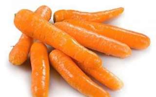 Вареная морковь — состав, полезные свойства и вред