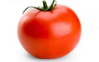 Характеристика помидора как лечебного овоща