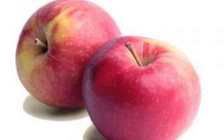 Яблоки Айдаред — описание полезных и прочих свойств этих фруктов, их фото