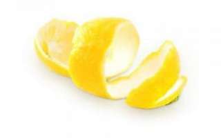 Лимонная цедра — описание с фото; польза продукта; рецепт, как сделать в домашних условиях и рекомендация, чем заменить при отсутствии