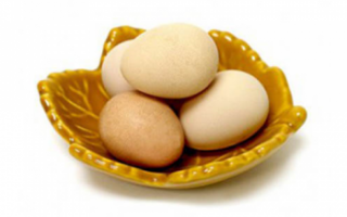 Полезные свойства и вред, фото яиц цесарки, использование продукта в кулинарии