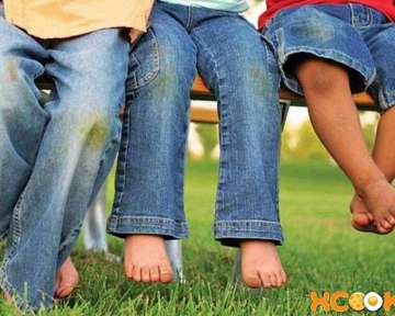 Как и чем можно отстирать траву с вещей?