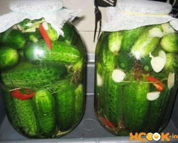 Хрустящие бочковые огурцы в банке – рецепт с фото, как засолить в домашних условиях