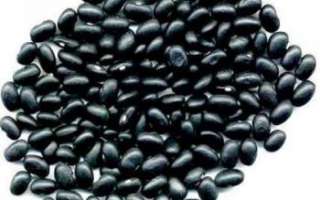 Черная фасоль — описание полезных и лечебных свойств этого овоща