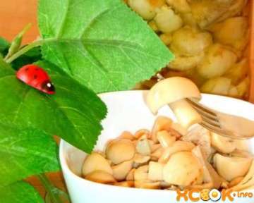 Маринованные сыроежки в домашних условиях — рецепт с фото (картинками), как мариновать горячим способом (с уксусом) на зиму в банках
