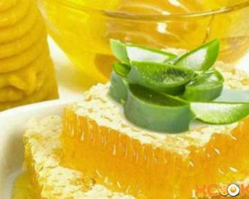 Алоэ, мед, кагор — лечебные свойства и применение настойки