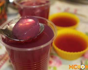 Простой рецепт с пошаговыми фото того, как в домашних условиях приготовить желе из компота и желатина