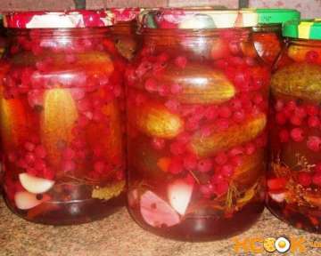 Маринованные огурцы с красной смородиной на зиму – пошаговый рецепт с фото приготовления закуски