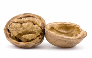 Польза грецких орехов для здоровья, их вред и противопоказания к употреблению