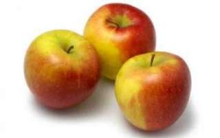 Яблоки Пепин — описание сорта, фото плодов