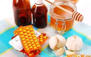 Мед при простуде — полезные свойства и лечение