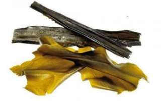 Съедобные водоросли — виды, польза и вред