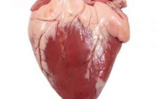 Сердце баранье – состав и калорийность, пищевая ценность продукта; использование в кулинарии; полезные свойства