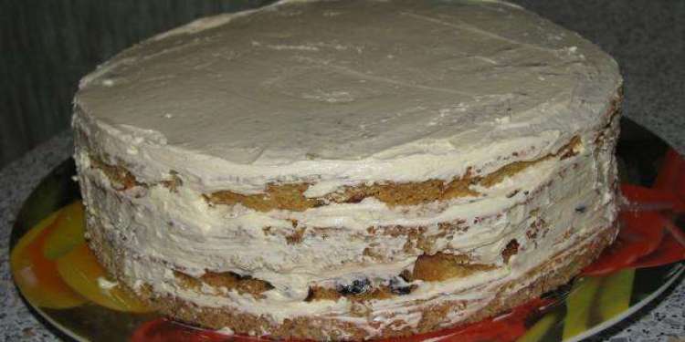 Рецепт торта генерал в домашних условиях с фото пошагово
